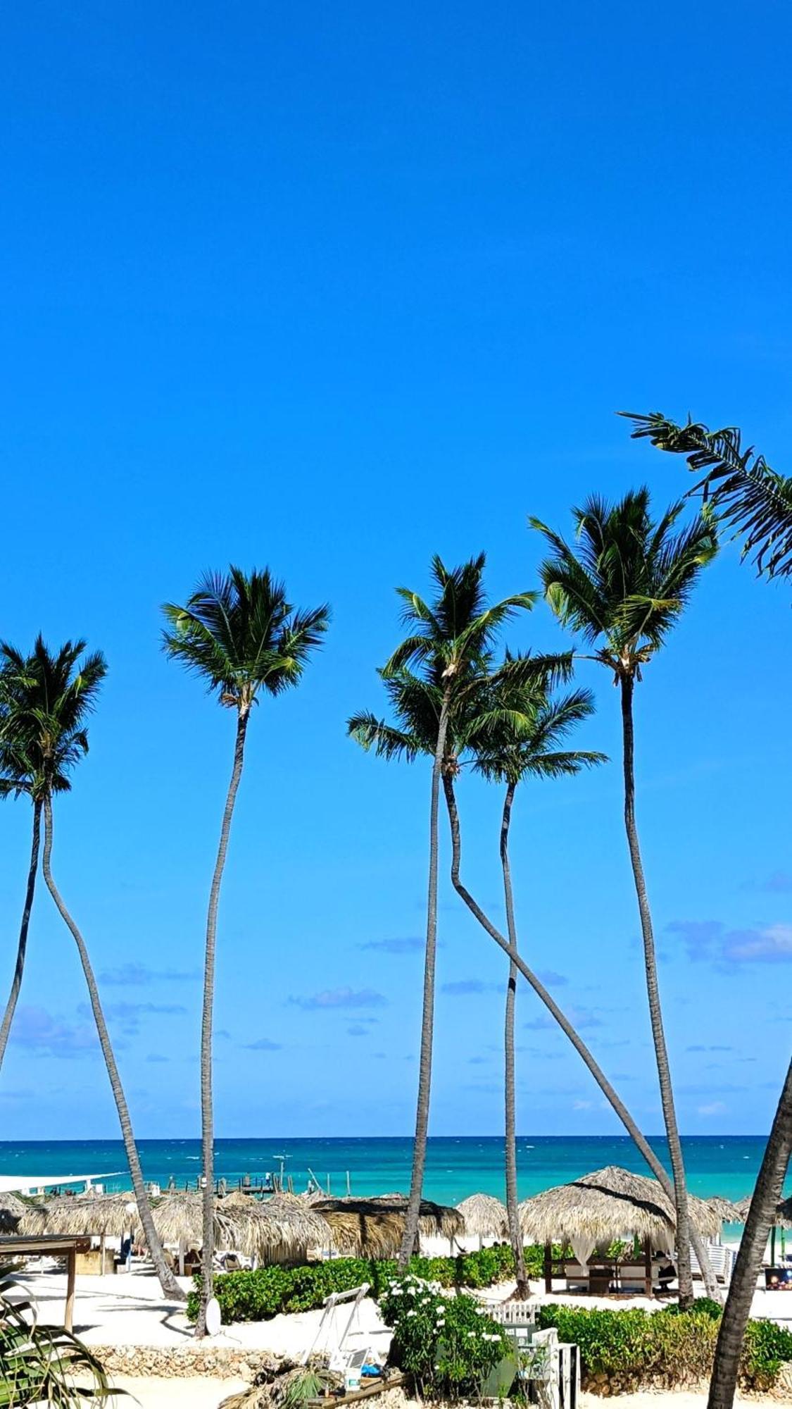 Flor Del Mar Condo Punta Cana Beachfront 외부 사진